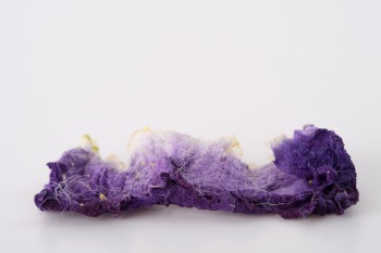 woolen skirts and forgotten dreams
